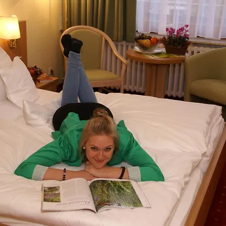 Отель Komforthotel & Restaurant Riemann 3*