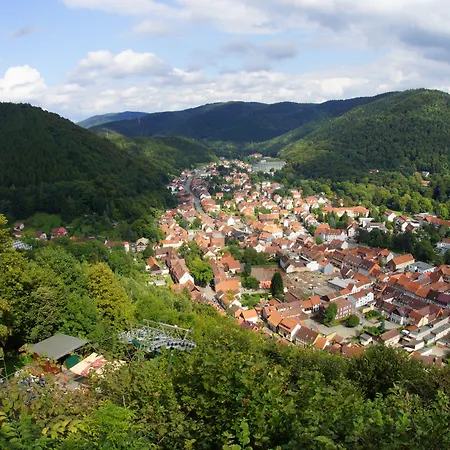 Отель Komforthotel & Restaurant Riemann